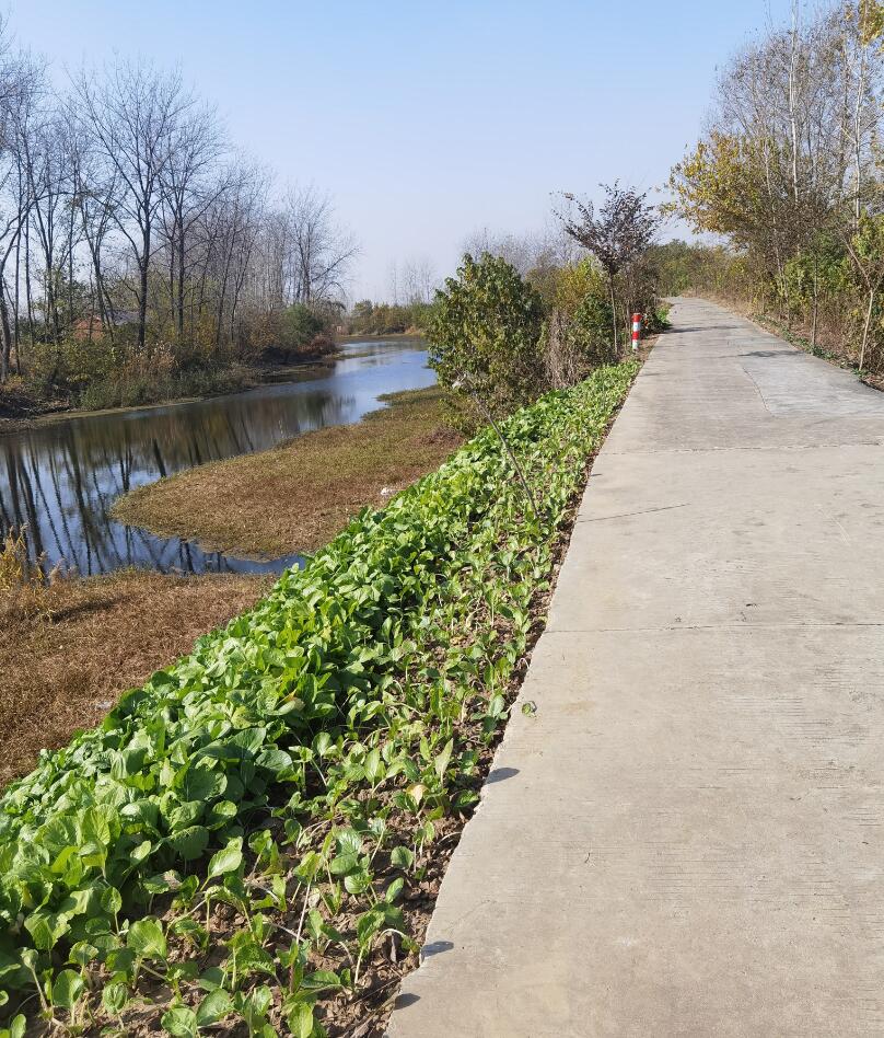 17043597598346.jpg QQ截圖20240104165619.jpg